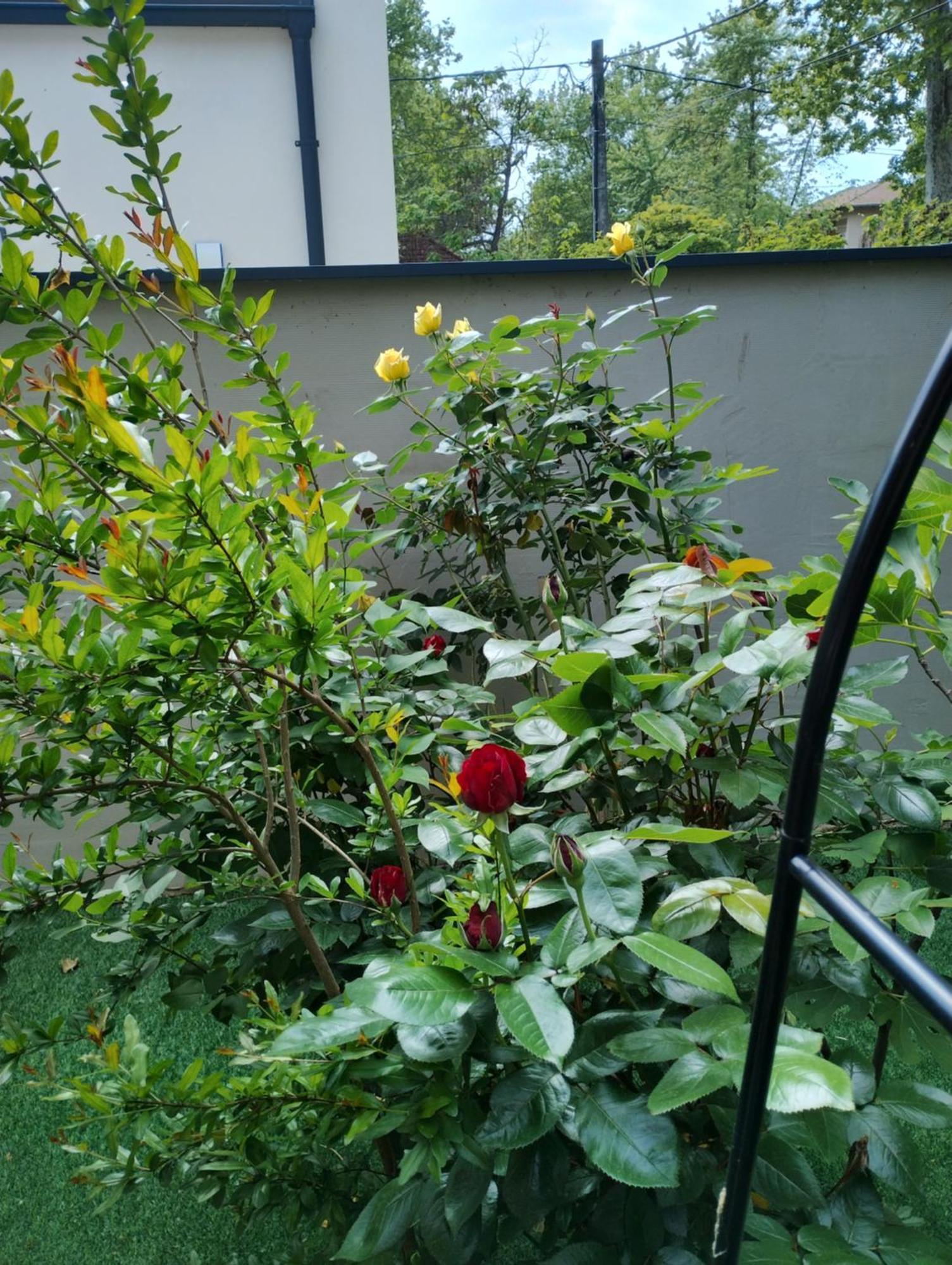 Luna Vendeghaz Siófok Zewnętrze zdjęcie